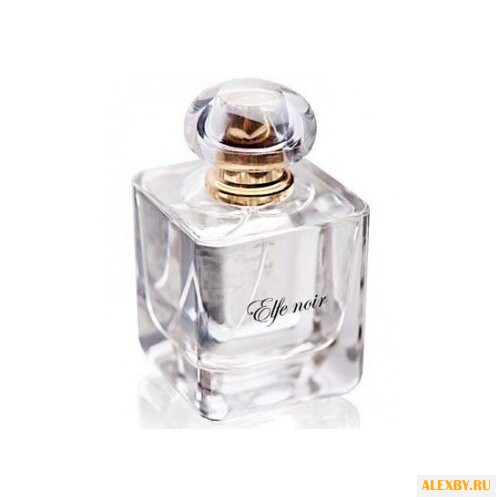 Les Contes Elfe Noir