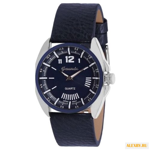 Наручные часы Guardo 9131.1.3