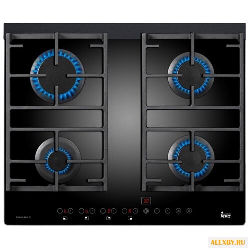 Варочная панель TEKA WISH