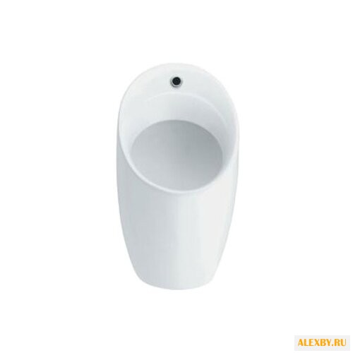 Писсуар Jacob Delafon Patio