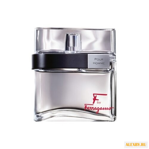 Salvatore Ferragamo F by