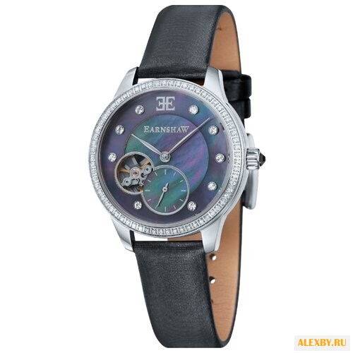 Наручные часы EARNSHAW ES-8029-01