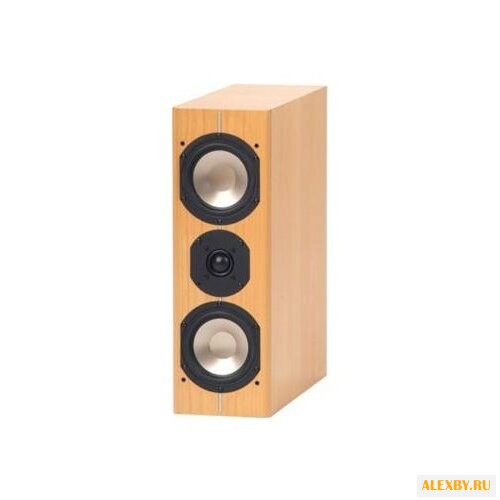 Акустическая система ASW