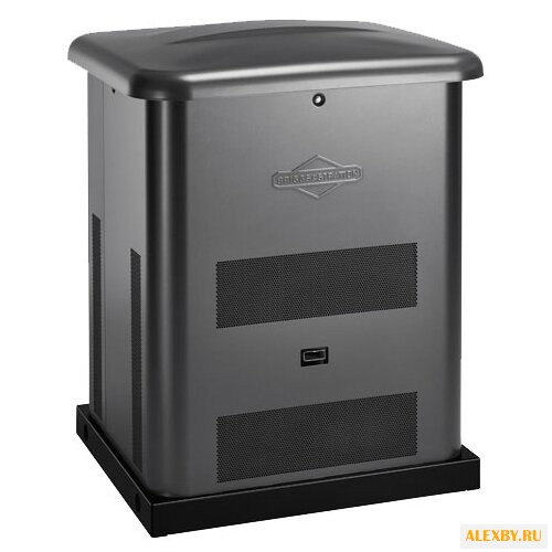 Газовая электростанция BRIGGS &