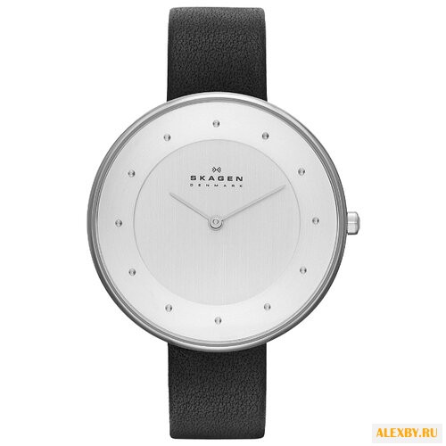 Наручные часы SKAGEN SKW2232