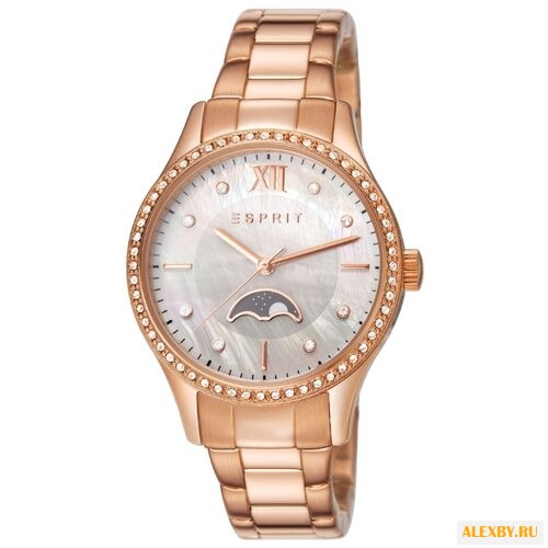Наручные часы ESPRIT ES107002002