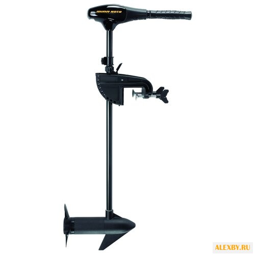 Лодочный мотор Minn Kota Endura