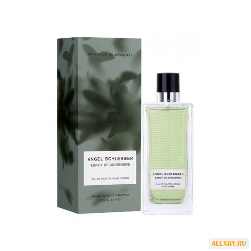Angel Schlesser Esprit de