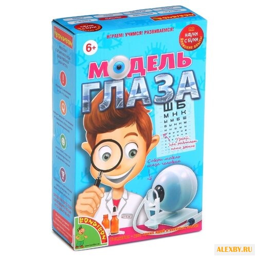 Набор BONDIBON Модель глаза