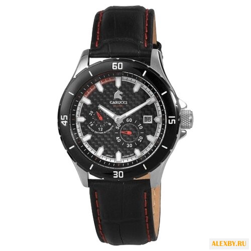 Наручные часы Carucci CA2187RD