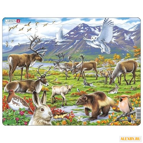 Рамка-вкладыш Larsen Арктика