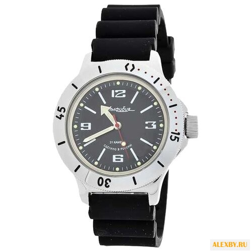 Наручные часы Восток 120509