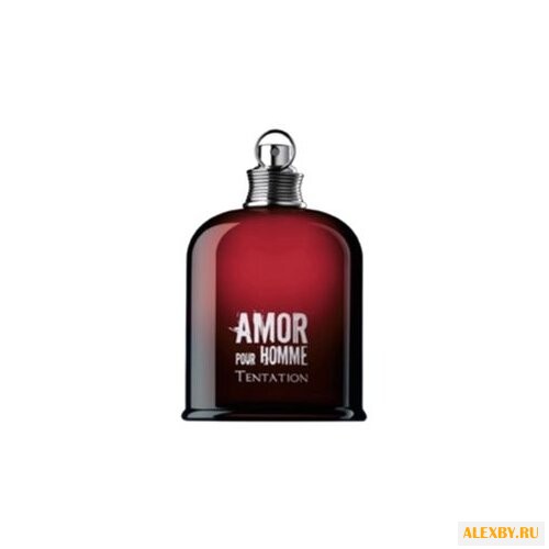 Cacharel Amor pour Homme