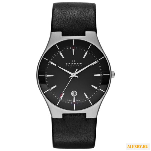 Наручные часы SKAGEN SKW6039