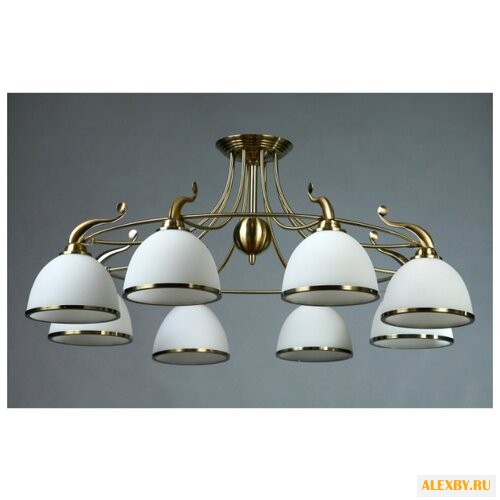 BRIZZI 02401 MA02401CB 006