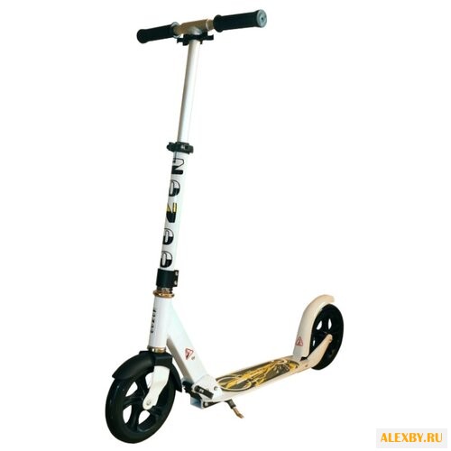 Городской самокат Zondo City 200