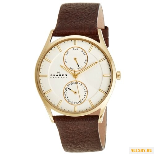 Наручные часы SKAGEN SKW6066