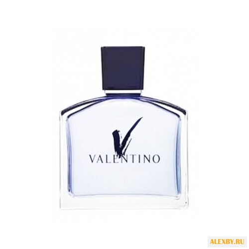 Valentino V pour Homme