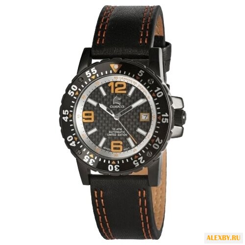 Наручные часы Carucci CA2184OR