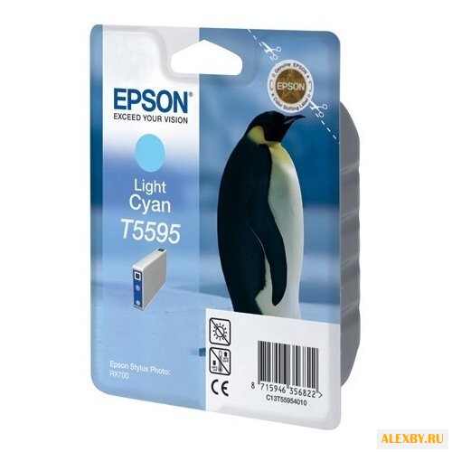 Картридж Epson C13T55954010