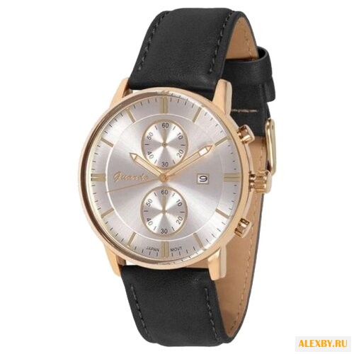 Наручные часы Guardo 6462.6 сталь