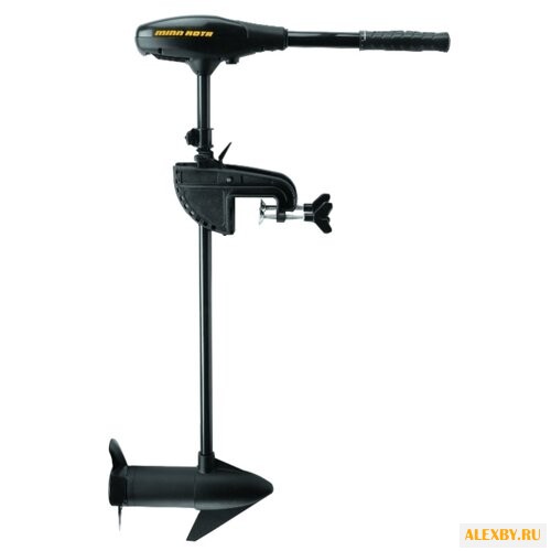 Лодочный мотор Minn Kota Endura