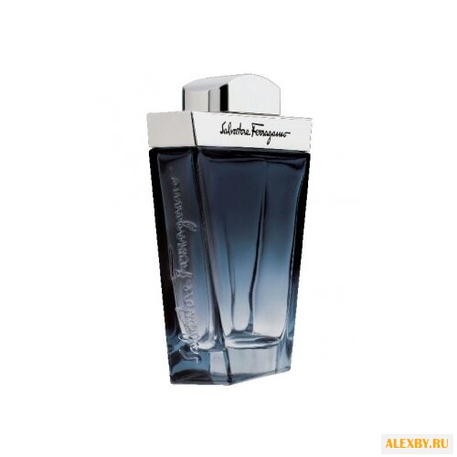 Salvatore Ferragamo Subtil pour