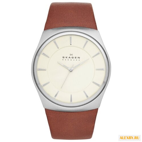 Наручные часы SKAGEN SKW6084
