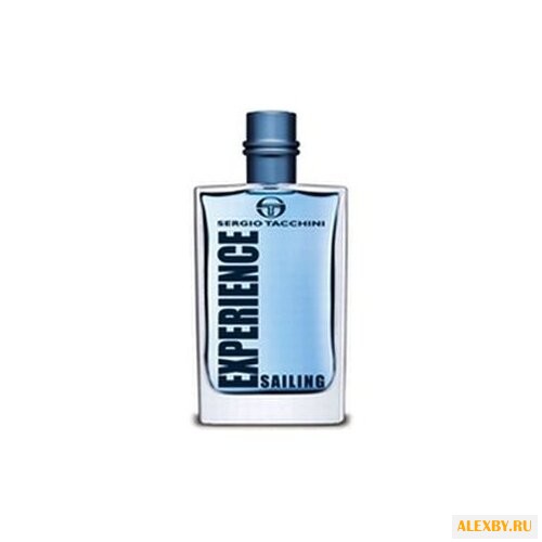 SERGIO TACCHINI Experience