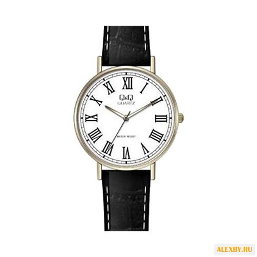 Наручные часы Q&Q Q978 J809