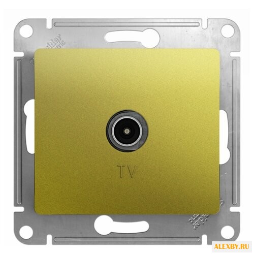 Антенное гнездо Schneider