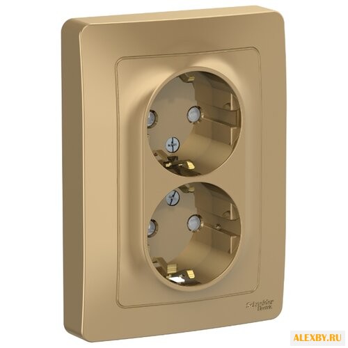 Розетка Schneider Electric