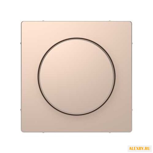 Накладка Schneider Electric