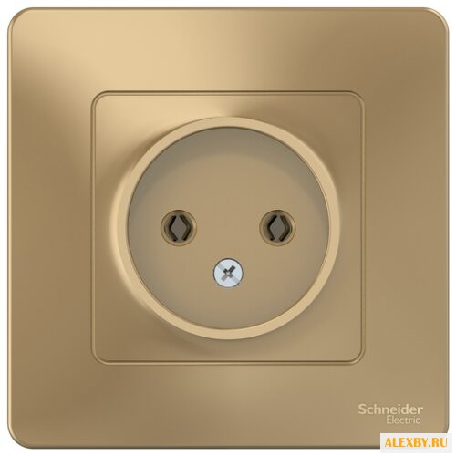 Розетка Schneider Electric