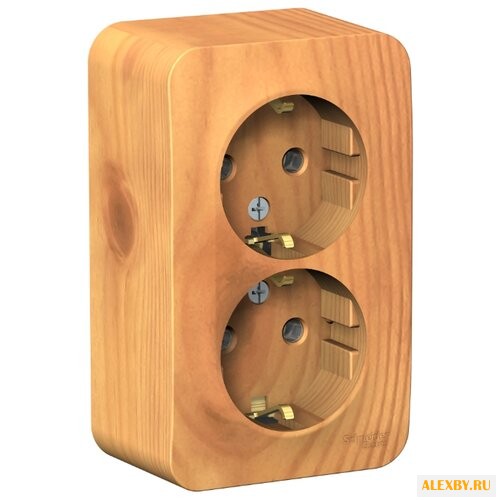 Розетка Schneider Electric