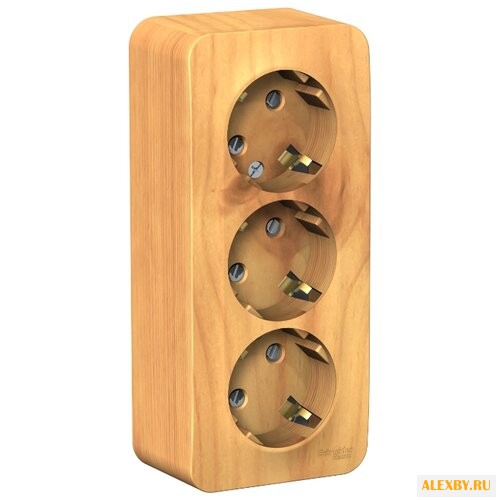 Розетка Schneider Electric