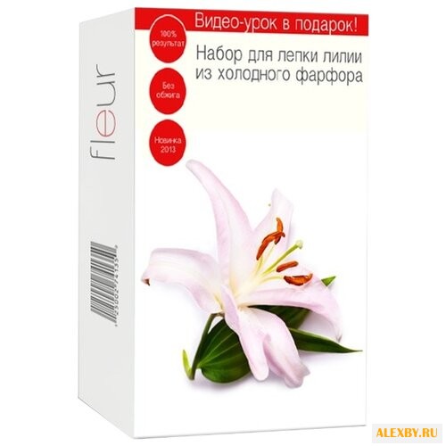 Полимерная глина Fleur Набор