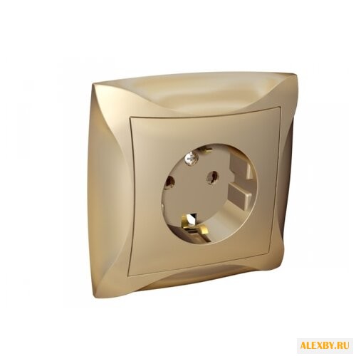 Розетка Schneider Electric