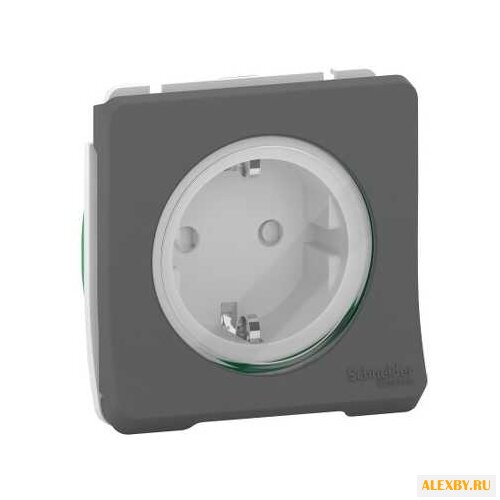 Розетка Schneider Electric