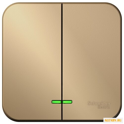 Выключатель 2х1-полюсный