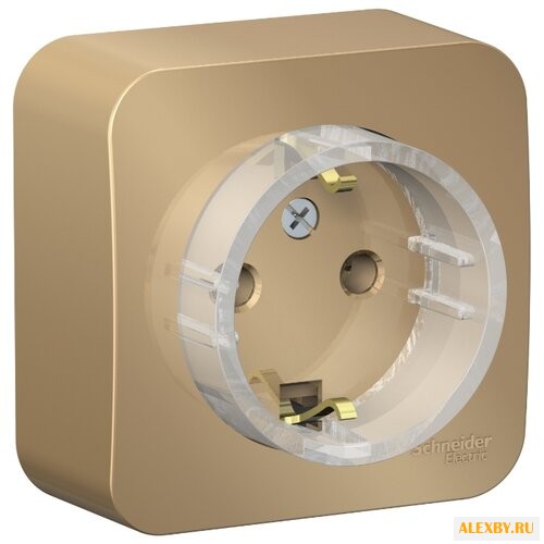 Розетка Schneider Electric