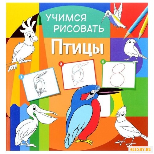 Учимся рисовать. Птицы.