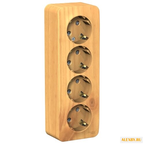 Розетка Schneider Electric