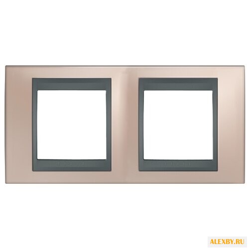 Рамка 2п Schneider Electric