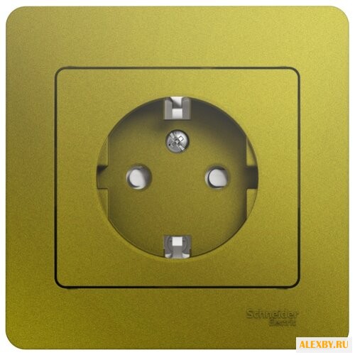 Розетка Schneider Electric