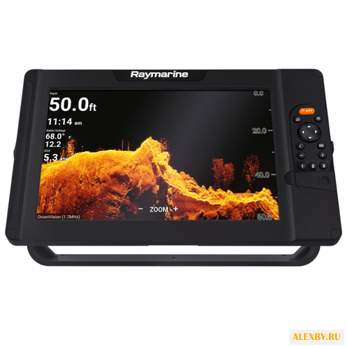 Эхолот Raymarine Element 12 HV