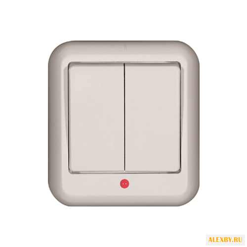 Выключатель 2х1-полюсный