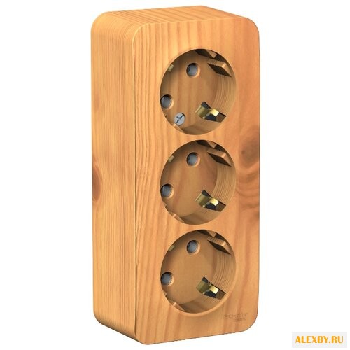 Розетка Schneider Electric