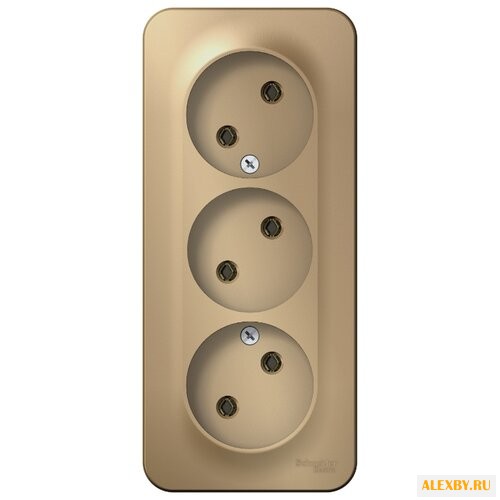 Розетка Schneider Electric