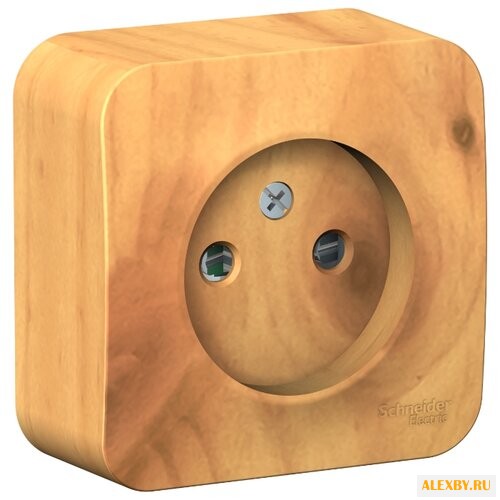 Розетка Schneider Electric